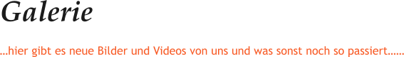 Galerie …hier gibt es neue Bilder und Videos von uns und was sonst noch so passiert……