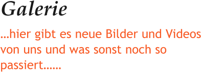 Galerie …hier gibt es neue Bilder und Videos von uns und was sonst noch so passiert……